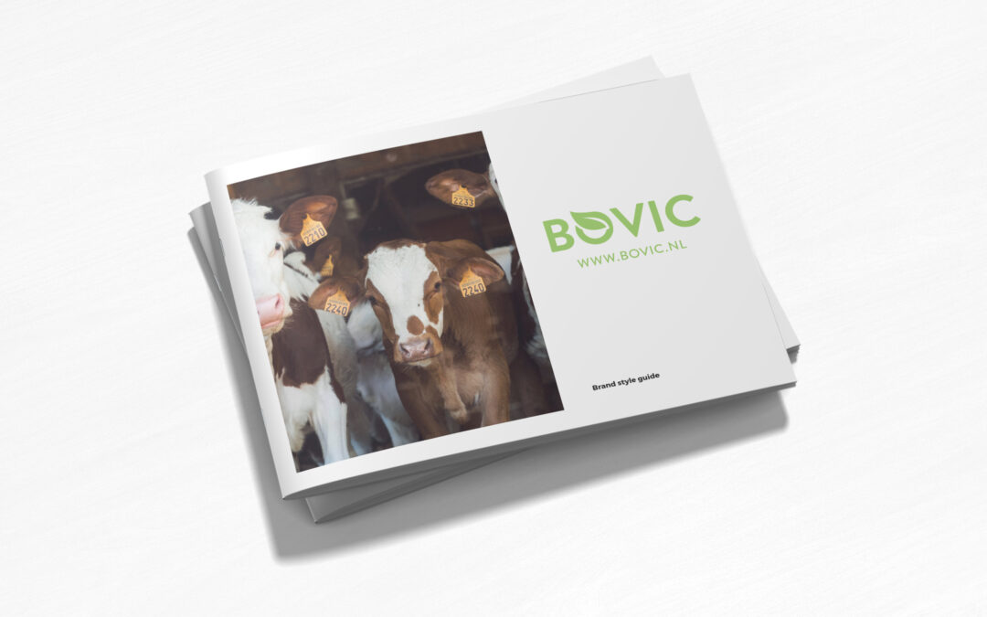 Bovic Brand Guide
